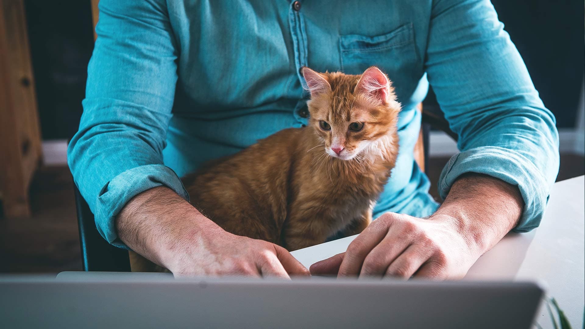8. Tenants Have Greater Rights to Keep Pets