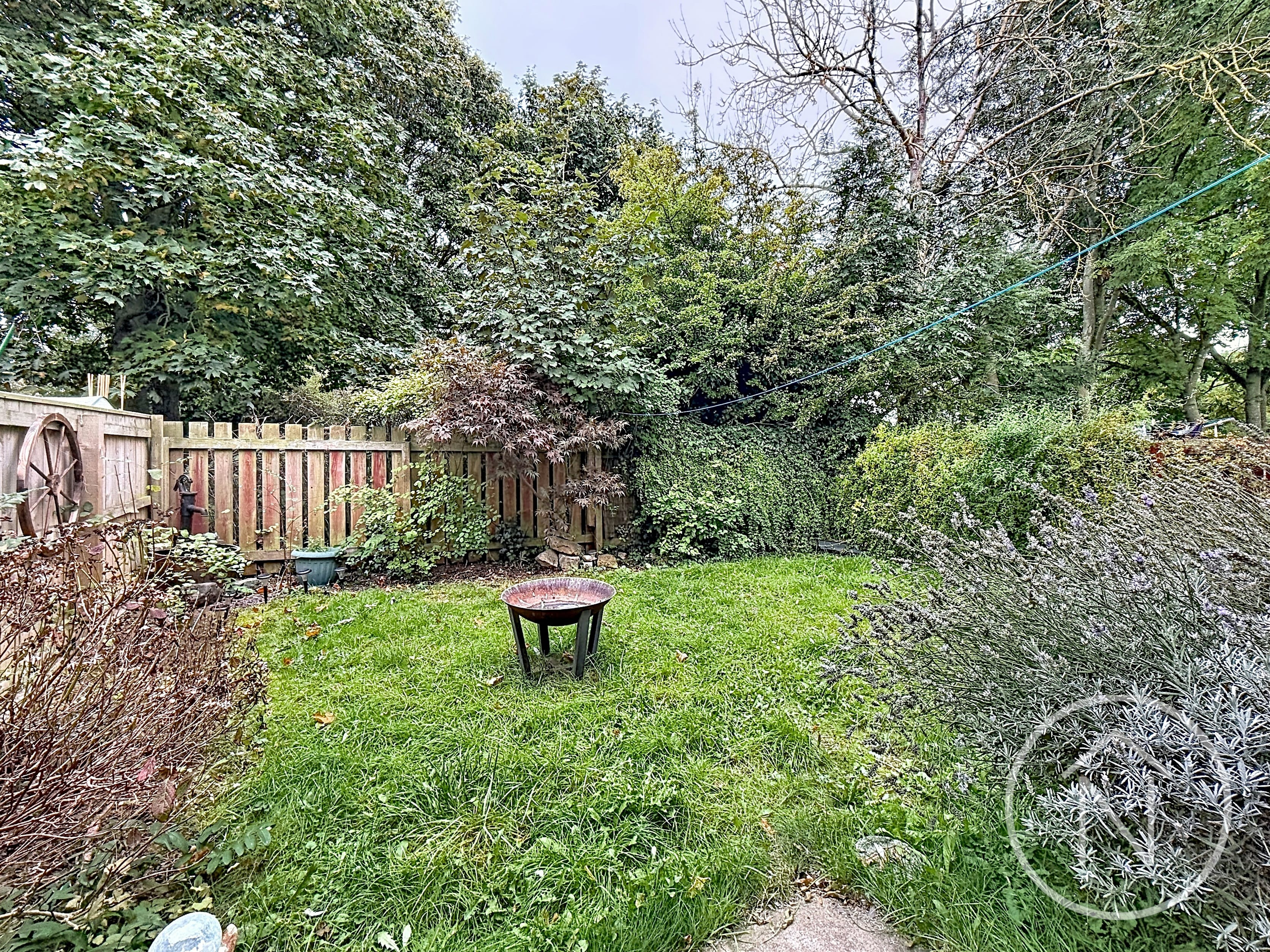 Number 7